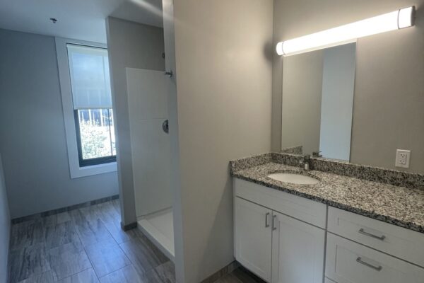 Bathroom-Vanity-BEN-AND-NATE-Shannon-Tribble-scaled