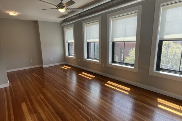 Living-Room-ben-and-nate-Shannon-Tribble-1-scaled