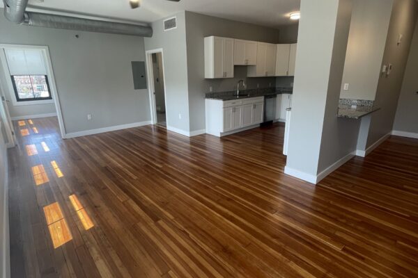Living-Room-ben-and-nate-Shannon-Tribble-scaled